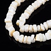 Natural Freshwater Shell Beads Strands SHEL-S278-042-3