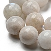 Natural Rainbow Moonstone Beads Strands G-N328-024-10mm-AB-3