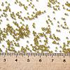 TOHO Round Seed Beads X-SEED-TR15-0246-4