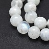 Natural Rainbow Moonstone Beads Strands G-I249-B04-03-3