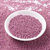 MIYUKI Round Rocailles Beads X-SEED-G007-RR0645-2