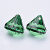 Transparent Acrylic Pendants TACR-Q260-D-V17-3