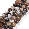 Natural Striped Agate/Banded Agate Beads Strands G-Z060-A01-C14-1