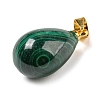 Natural Malachite Pendants LS-G-D094-01G-2