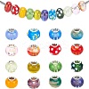 Mixed Styles Handmade Lampwork Glass European Beads LPDL-PH0001-03-WH-6
