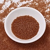 MIYUKI Delica Beads SEED-X0054-DB0777-2