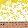 Baking Paint Glass Seed Beads SEED-S042-05B-81-4