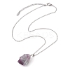 Natural Fluorite Nugget Pendant Necklaces NJEW-JN04507-01-5