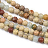Natural Aqua Terra Jasper Beads Strands G-E444-14B-3mm-4