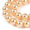 Glass Pearl Beads Strands HY-G002-01D-10-2