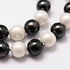 Polished Shell Pearl Bead Strands X-BSHE-F013-07C-3