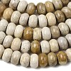 Natural Fossil Coral Beads Strands G-A280-A08-02-4