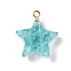 Transparent Resin Pendants LS-RESI-Z016-02F-LG-1