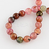 Dyed Natural Multi-Color Agate Beads Strands G-R177-6mm-03-2