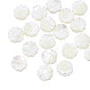 Natural Shell Beads Strands SSHEL-CJ0001-09-4