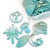 1 Set Spray Painted Alloy Charms FIND-YW0003-11D-2