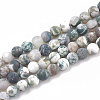 Natural Tree Agate Beads Strands G-T106-039-1