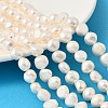 Natural Cultured Freshwater Pearl Beads Strands PEAR-P064-19K-04B-1