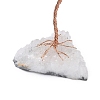 Natural Fluorite Chips Tree of Life Decorations DJEW-P022-01B-05-3