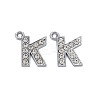 Alloy Pendants ALRI-N039-001K-RS-2