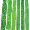 Electroplate Glass Beads Strands EGLA-A044-T4mm-L11-2