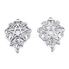 Non-Tarnish 201 Stainless Steel Pendants STAS-N098-170P-1