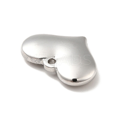 Non-Tarnish 304 Stainless Steel Pendants LS-STAS-E176-01P-1