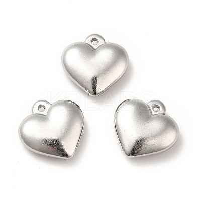 Non-Tarnish 304 Stainless Steel Pendants STAS-H172-01P-1