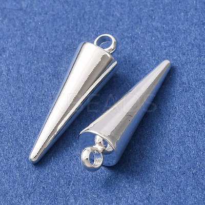 304 Stainless Steel Pendants STAS-G214-47S-01-1