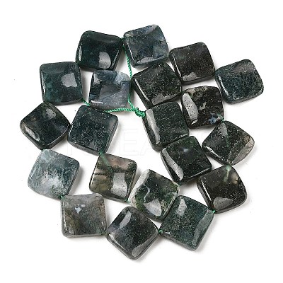 Natural Moss Agate Beads Strands G-L239-16-1