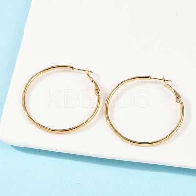 201 Stainless Steel Hoop Earrings LS-EJEW-F188-24G-B-1