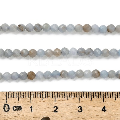 Natural Angelite Beads Strands G-RM2025-30-A-1