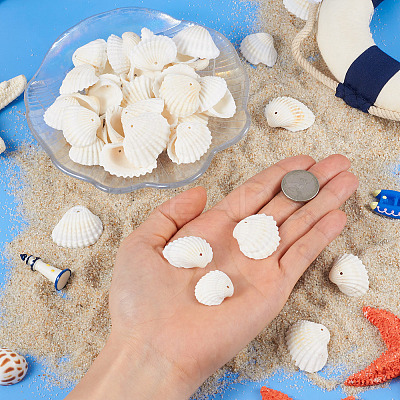 Shell Pendants SSHEL-TA0001-03-1