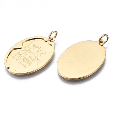 316 Surgical Stainless Steel Pendants STAS-N097-013-1