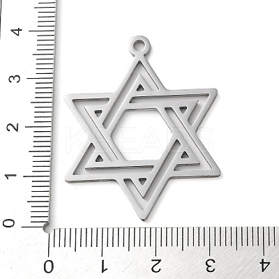 Non-Tarnish 304 Stainless Steel Pendants LS-STAS-R116-01P-1