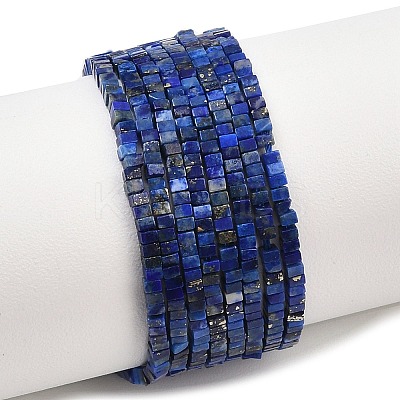 Natural Lapis Lazuli Beads Strands G-K399-B09-01-1