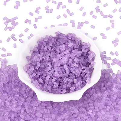 FGB Frosted Transparent Glass Seed Beads SEED-N013-05A-07-1