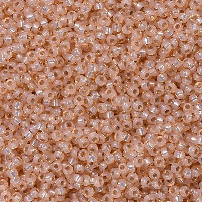 MIYUKI Round Rocailles Beads X-SEED-G007-RR0580-1