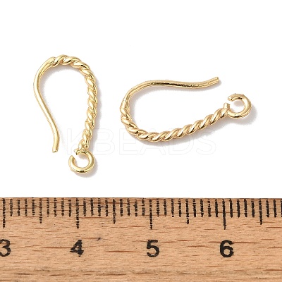 Long-Lasting Plated Brass Ear Wire LS-X-KK-K381-07G-02-1
