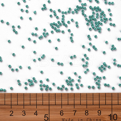 11/0 FGB Grade A Baking Paint Glass Seed Beads X-SEED-N001-A-1015-1