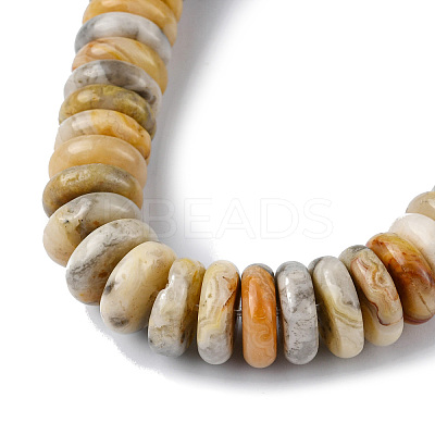Natural Crazy Lace Agate Beads Strands G-F743-06J-1