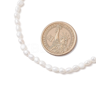 Natural Keshi Pearl Two Sides Polished Beaded Necklaces for Women NJEW-JN05336-01-1