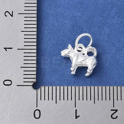 925 Sterling Silver 3D Chinese Zodiac Charms STER-P066-01S-11-1