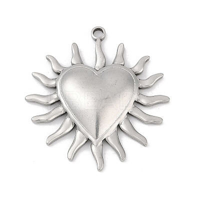 304 Stainless Steel Pendants STAS-D366-01J-P-1