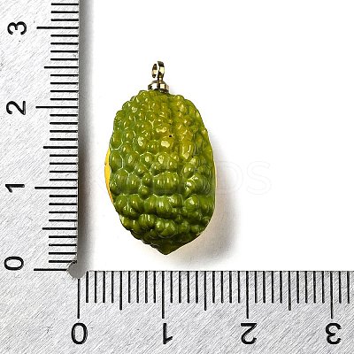 Brass Acrylic Pendants OACR-R006-03G-01-1