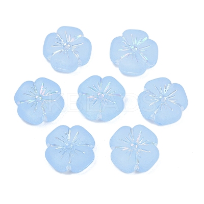 Frosted Transparent Acrylic Beads OACR-P029-19B-01-1