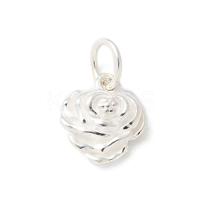 S925 Sterling Silver Pendant STER-H115-08C-S-1