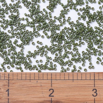 MIYUKI Delica Beads X-SEED-J020-DB1135-1