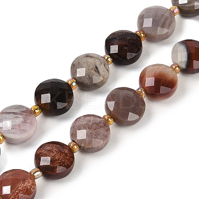 Natural Petrified Wood Beads Strands G-B094-A10-01-1