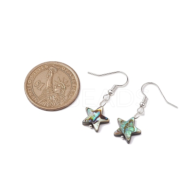Natural Abalone Shell/Paua Shell Dangle Earring EJEW-JE05915-1